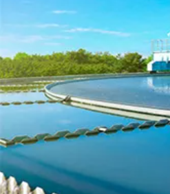 Sodium Gluconate Gluconate de sodium